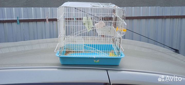 Клетка для грызунов