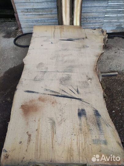 Слэб каштан. Слэб каштана широкий 87см