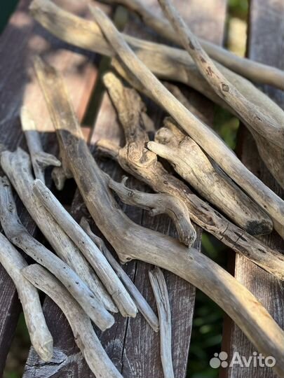 Набор палочек коряг