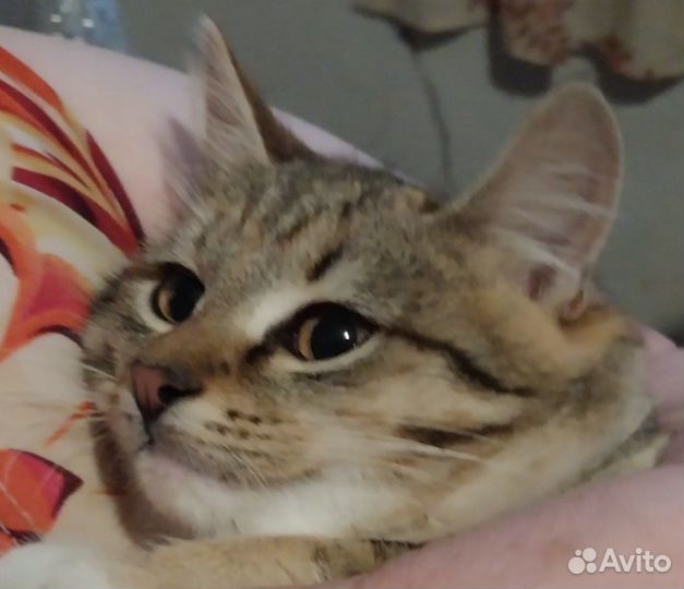 Очаровательная девочка