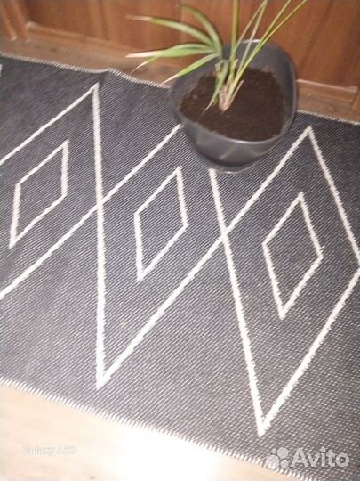 Комнатные растения пальмаАрека из Икеи