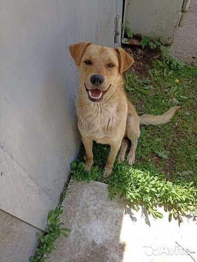 Мальчик подросток