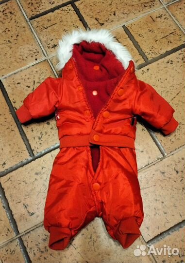 Комбинезон зимний S для кобелька