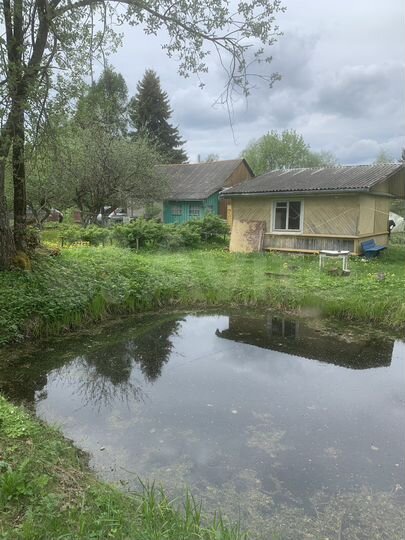 Дача 52 м² на участке 23 сот.