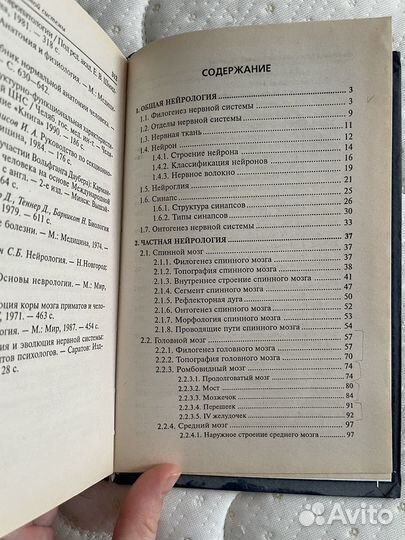 Анатомия и физиология центральной нервной системы