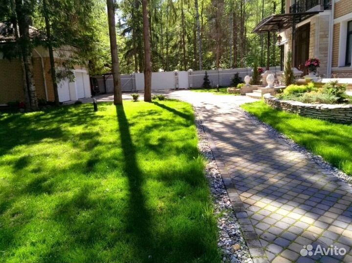 Навоз коровий