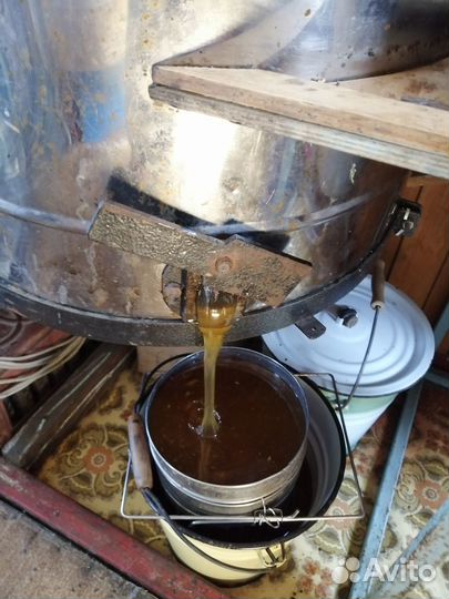 Продаю пасеку