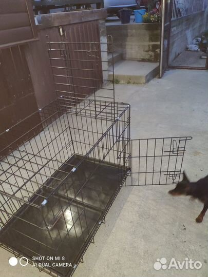 Клетка для собак аренда
