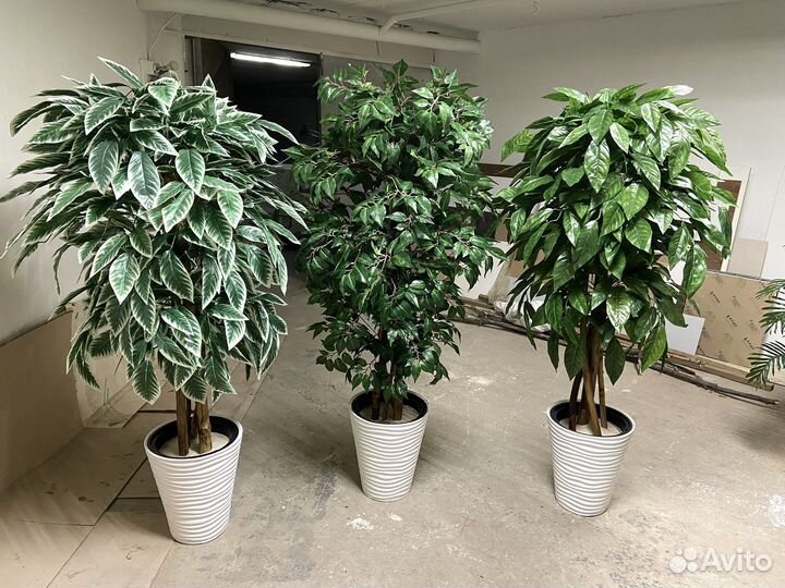 Искусственное дерево. Фитокартина для офиса