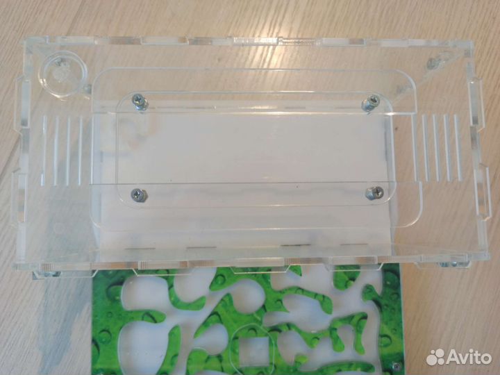 Муравьиная ферма и муравьи