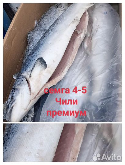 Свежемороженный лосось