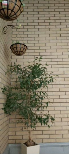 Офис, 30 м² с Открытой Терассой 12 м²