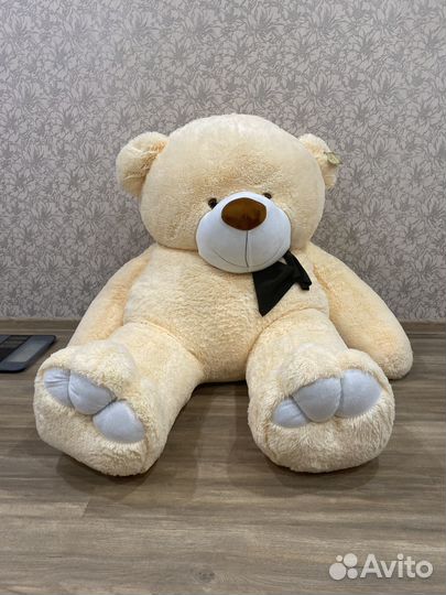 Мишка новый