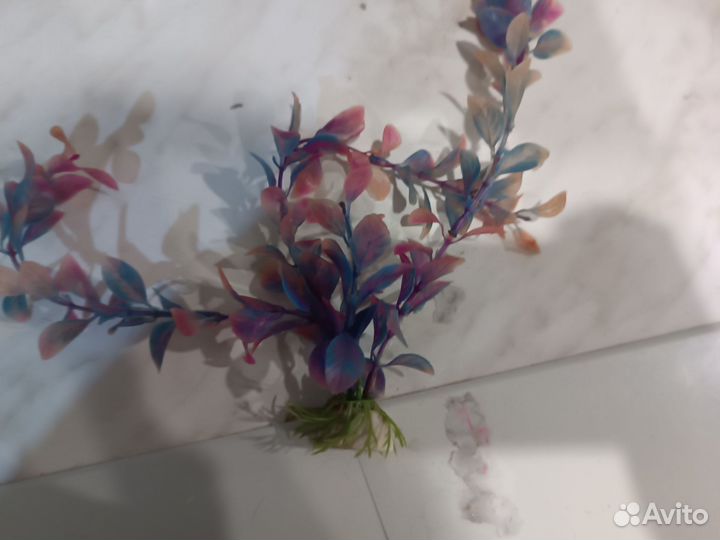 Для аквариума