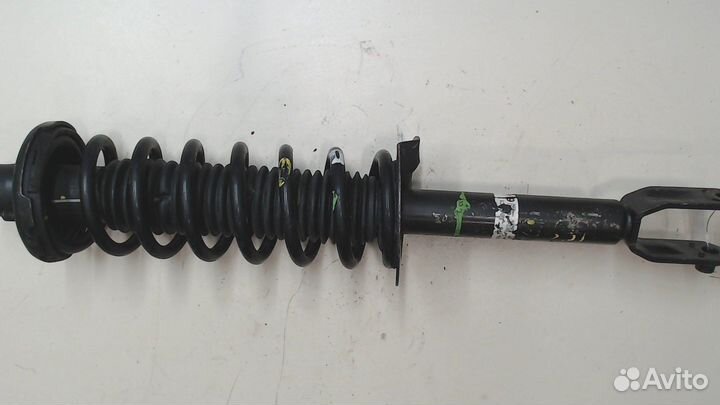 Амортизатор подвески Honda Crosstour, 2010