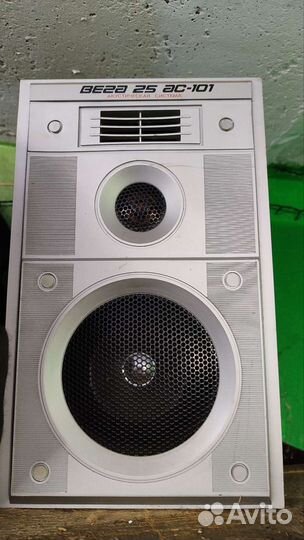 Колонки Вега 25ас 101