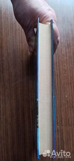 Катализ. Ант Скаландис