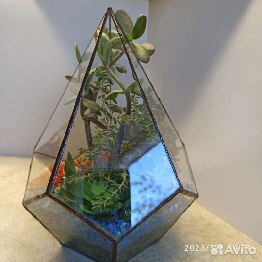 Флорариум 20 на 25 см