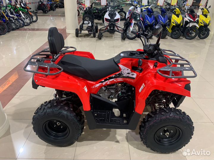 Мопед alfa C.moto forester NEW с кофром