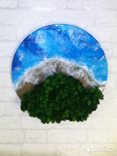 Мох стабилизированный оптом и в розницу