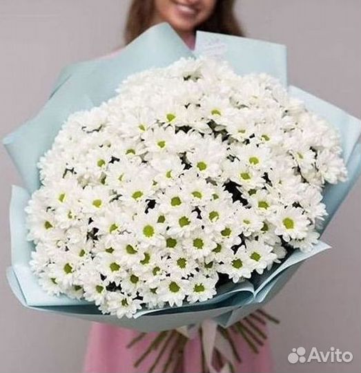 Доставка букетов и цветов. Хризантема