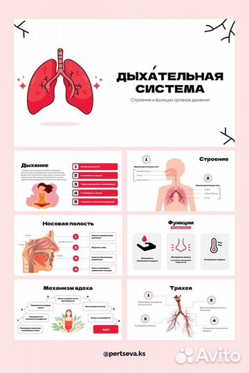 Создание презентаций, докладов