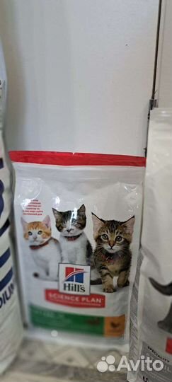 Сухой корм для собак и кошек
