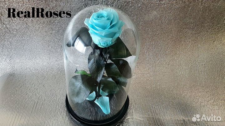 Роза в колбе