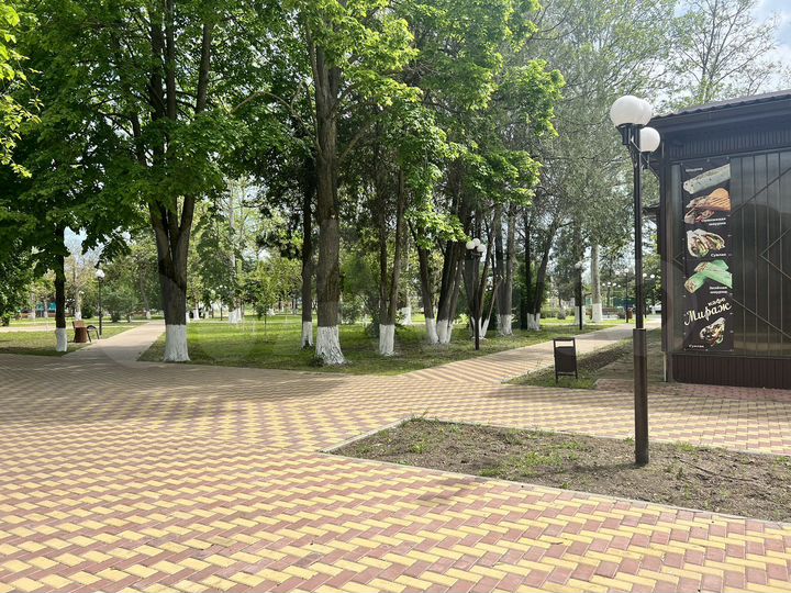 Общепит, 170 м²