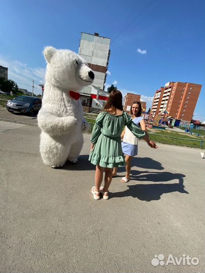 Белый мишка поздравление.Белый мишка.Зайка