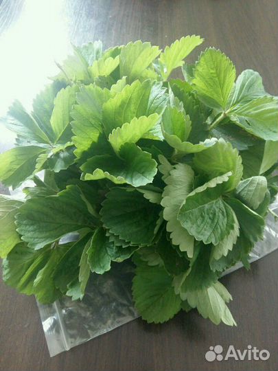 Саженцы сортовой клубники сорта разные