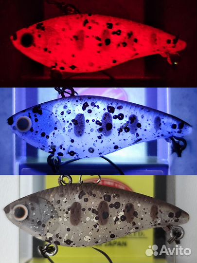 DaySprout Bevy Vibration 40SS