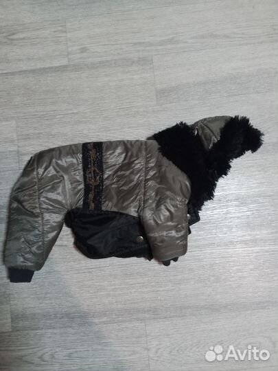 Одежда для маленьких собак