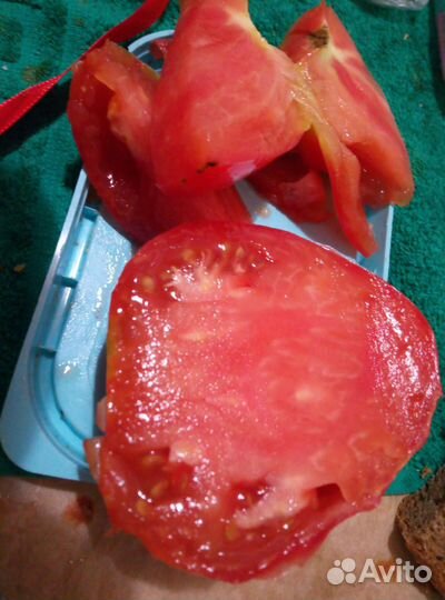 Семена томатов(помидор) и перцев лаванда огурцы