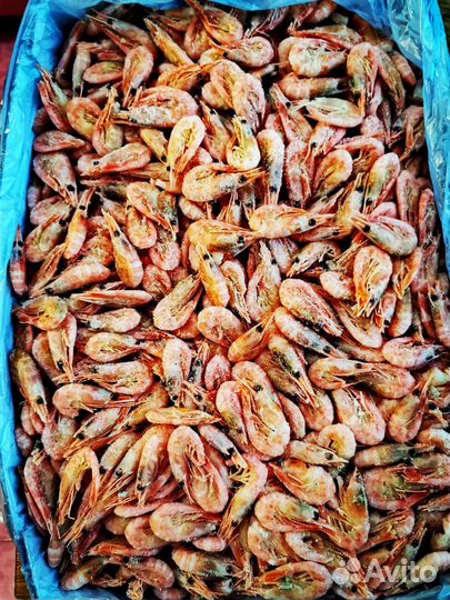 Креветка Мурманская и др.виды