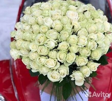 Метровые розы 110