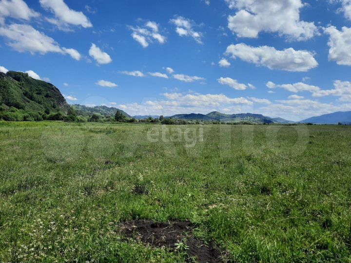 Участок 4,8 га (СНТ, ДНП)