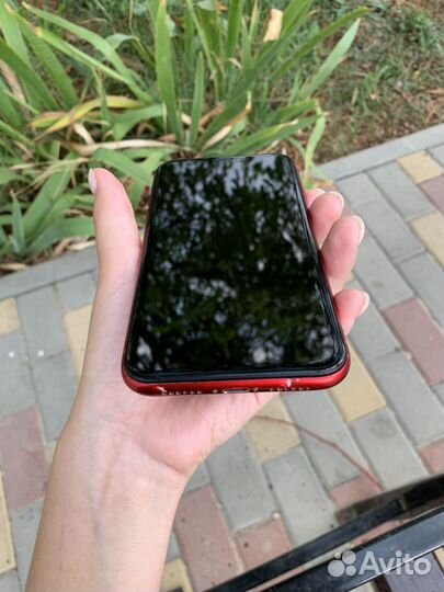 iPhone XR 128gb (red)