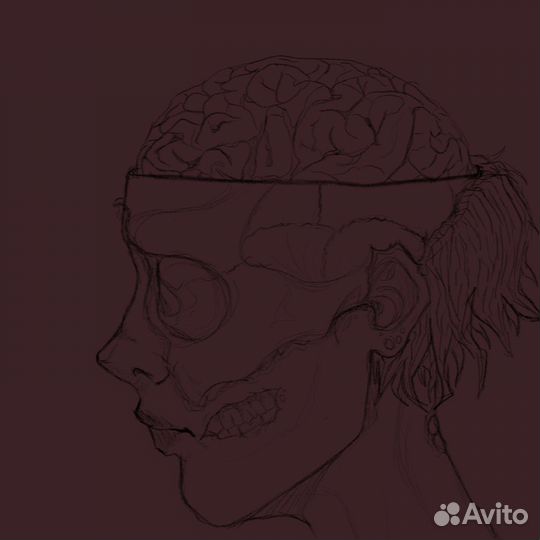 Художник иллюстратор