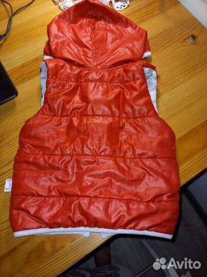 Жилет для собачки