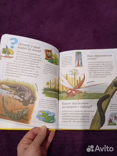 Новая книга энциклопедия