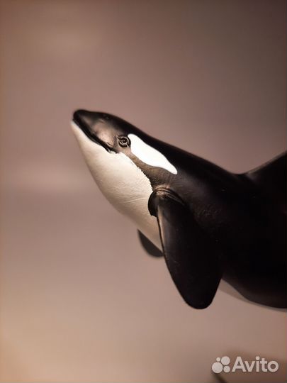 Фигурки животных Toymany schleich papo safari ltd