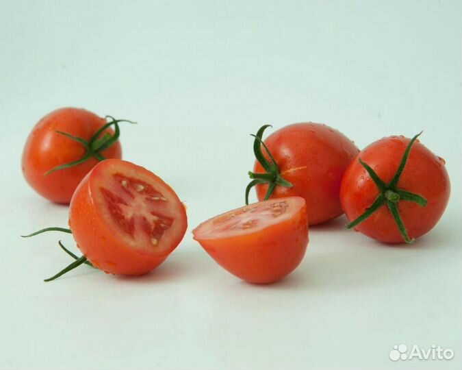 Семена Томата 