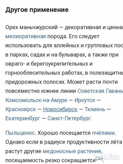 Маньчжурский орех