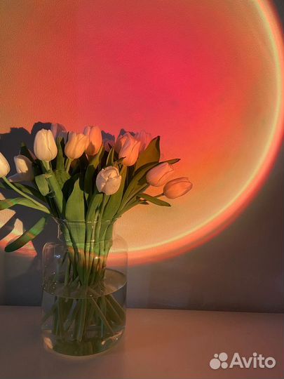 Закатная лампа для съёмок\свет для съемок