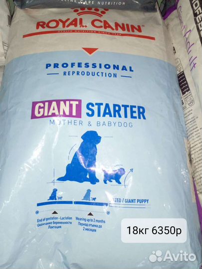 Корма для животных оптом