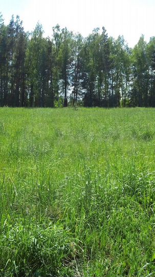 Участок 20 сот. (ИЖС)