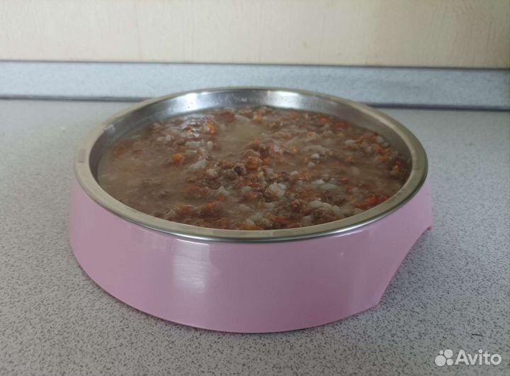 Корм для кошек