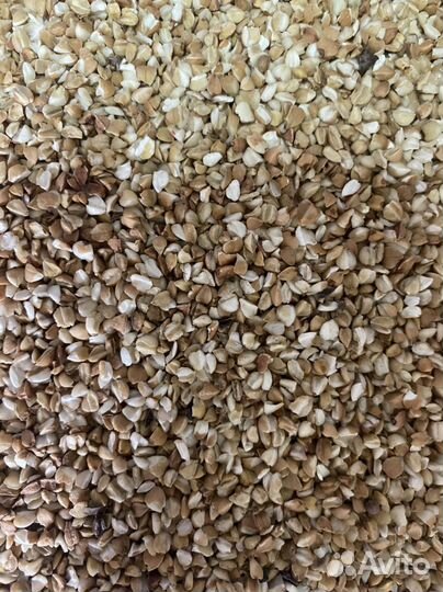 Гречневая крупа кормовая
