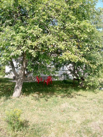 Дача 90 м² на участке 24 сот.